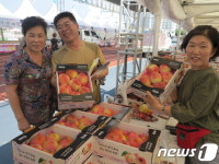 ‘옥천 포도·복숭아 축제’ 지난해보다 농특산물 판매액 ↑