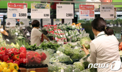 농산물 가격 너무 비싸네