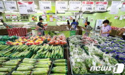 농산물 가격 너무 비싸네