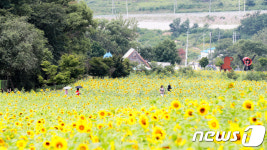 NAVER検索結果の写真 6
