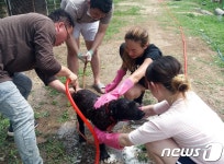 반려견이 따로 있나요?…개농장 개들 목욕시켰더니