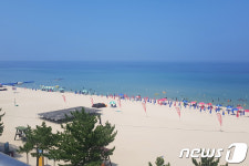 축제로 가득한 강릉 주문진 해수욕장 오세요