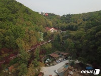 폭염 피하는데 산속이 최고 충북 자연휴양림 인기