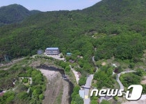 폭염 피하는데 산속이 최고 충북 자연휴양림 인기