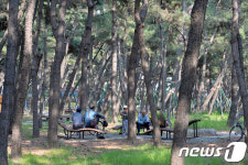 찜통도시 전주 한복판에 15㎞ 바람길 숲 생긴다