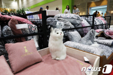 반려동물 용품 만나보세요