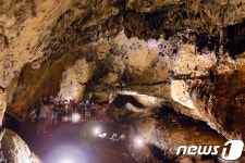 시원한 동굴로 피서왔어요