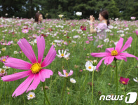 '오늘 입추...이제 가을로'