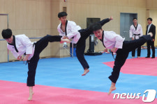 강력한 발차기