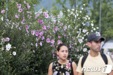 나라꽃 무궁화 축제 기대하세요