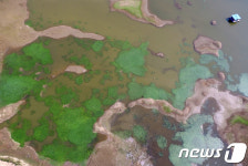 기록적인 폭염에 저수지도 말라간다