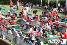 폭염도 잊은 울산 야구열기