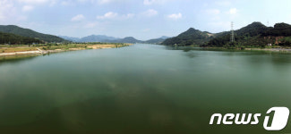 녹조 현상에 초록빛으로 변한 낙동강