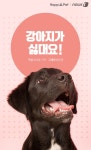 [펫카드] 만지지마… 개들의 싫다는 표현