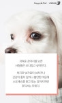 [펫카드] 만지지마… 개들의 싫다는 표현