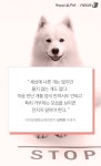 [펫카드] 만지지마… 개들의 싫다는 표현