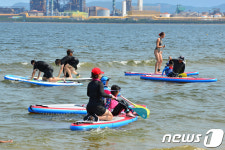 패들 보드로 더위 탈출