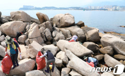 속초 조도(鳥島) 환경정화