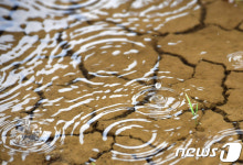 제주 폭염·가뭄 속 단비 소식…가뭄 해갈 도움될까