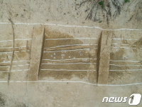 옥천서 발견된 7세기무렵 신라 고대 도로