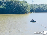 양주 어둔저수지 떡붕어 떼죽음…폭염에 용존산소 부족 추정