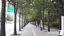 나무심어 脫대프리카…대구시, 21년간 3600만그루 식재