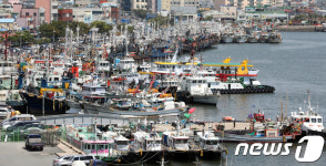 [르포] 태풍 솔릭 북상 하루 앞둔 목포항 초긴장