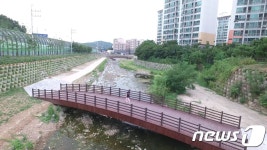 용인 탄천 상류 도심하천 생태복원사업 8년 만에 준공
