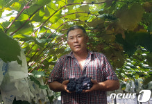 “내가 ‘영동 포도왕’”…노창균씨 ‘최우수상’