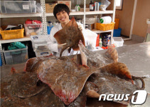 삭힌 홍어 먹는 나라가 한국 말고 또 있다는데?