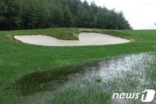 하이원 리조트 여자오픈 2라운드 '폭우로 경기 지연'