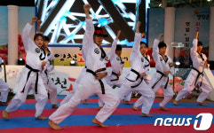 영천 아리랑 태무시범단의 태권도 시범