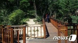 홍성군, 교통약자 위해 용봉산에 무장애 숲길 추가 조성