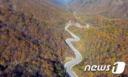 9월 오대산 진고개~동대산 탐방하려면 예약해야