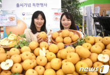 여름에도 즐길 수 있는 햇배가 나왔어요~