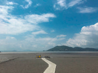 어느새 가을, 국내 어디부터 걸어볼까