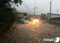 주택 침수되고 나무 넘어지고···강원 폭우피해 잇따라