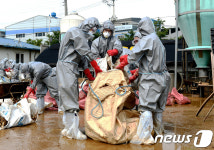 해병대장병들 양계농장에서 구슬땀
