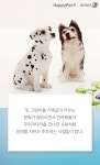 [펫카드] 별이된 반려동물, 오래 기억하고 싶을 때