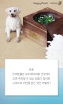[펫카드] 별이된 반려동물, 오래 기억하고 싶을 때