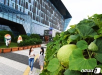 서울 용산구청 대박 열렸네!