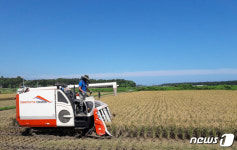 가을 하늘 아래 수확해요