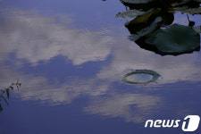 가을 하늘 담은 연못