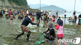 바다의 산삼 완도 노화전복축제 7일 개막