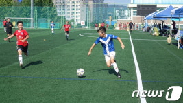 체육도시 보은군, 이번 주말 축구·야구·농구경기 풍성