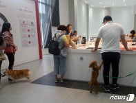 [르포]하림펫푸드 공장 가보니…수입 사료 안먹여도 되겠네요