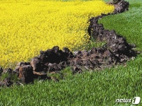 제주밭담축제, 월정리 제주밭담테마공원서 15일 개막