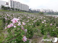 산림청 무궁화명소로 태화강지방정원 무궁화동산 선정
