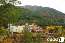 숲속 휴양지 옥천 장령산휴양림 추석연휴 무료개방