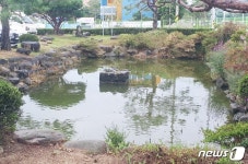 면사무소 경로잔치 참석 70대 할머니, 면사무소 연못 빠져 숨져